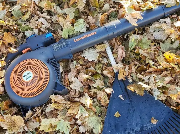 fantastic leaf blower